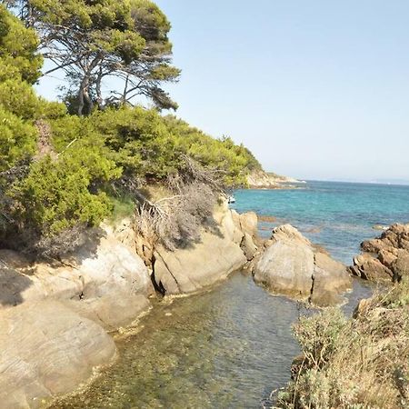 Villa Abeille : Douces Vacances D'Ete Avec Vue Mer Cavalaire-sur-Mer Eksteriør bilde