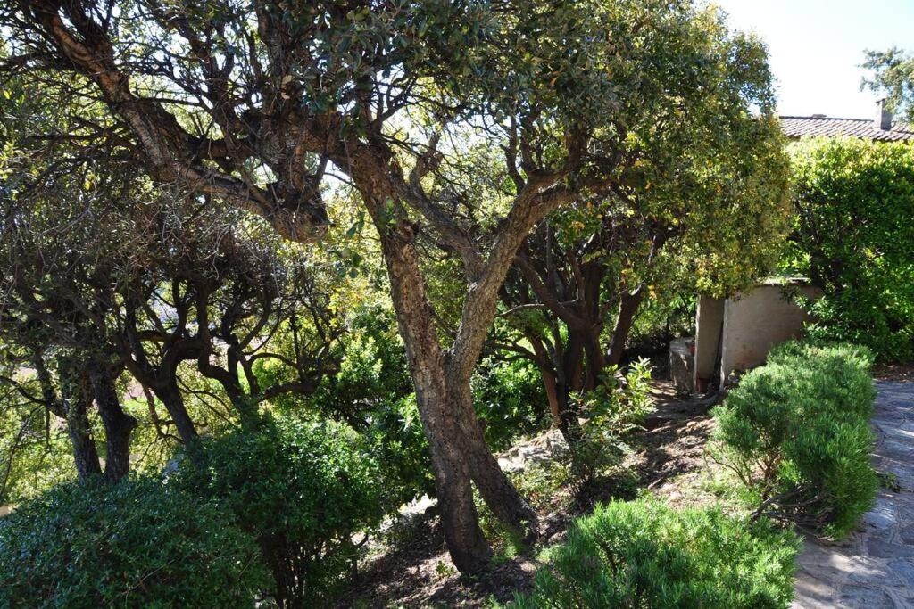 Villa Abeille : Douces Vacances D'Ete Avec Vue Mer Cavalaire-sur-Mer Eksteriør bilde