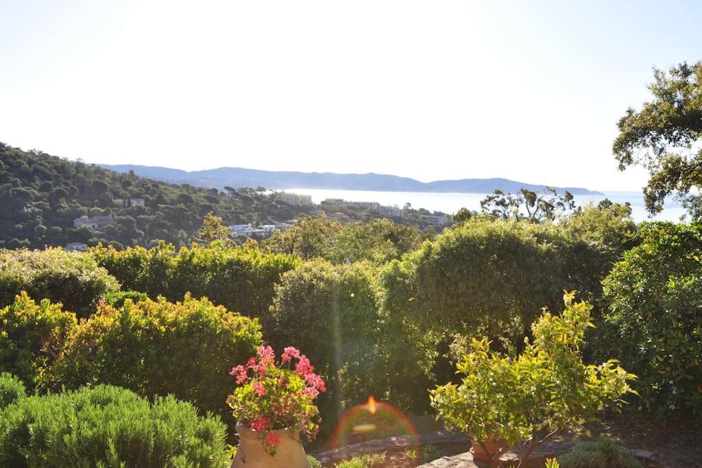Villa Abeille : Douces Vacances D'Ete Avec Vue Mer Cavalaire-sur-Mer Eksteriør bilde